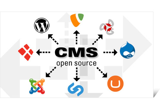 The Most Used Content Management Systems