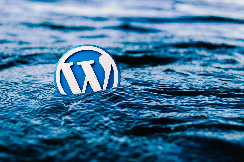 Upgrade Your Websites in SEO with WordPress Specialist