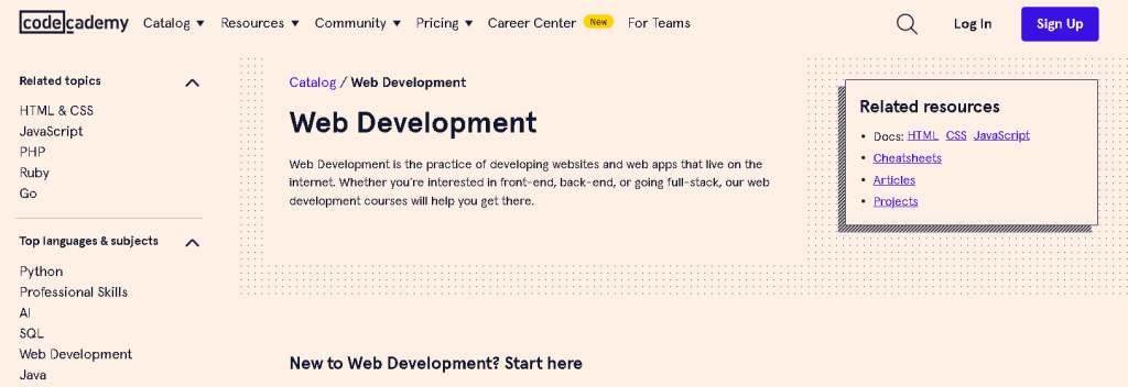 Code Academy