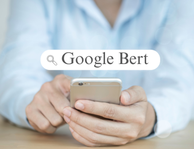 The Power of the Google BERT Algorithm