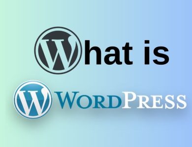 What is Wordpress