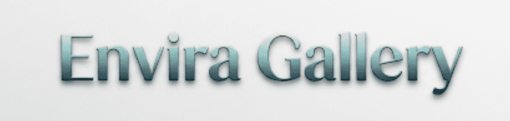 Envira Gallery | WordPress Photo Gallery Plugins