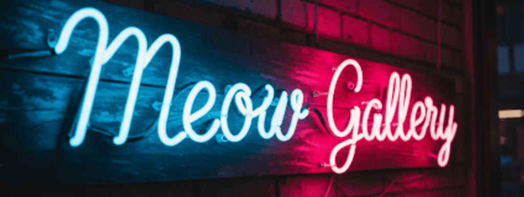 Meow Gallery | WordPress Photo Gallery Plugins