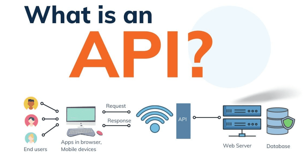 What Is the WordPress API?